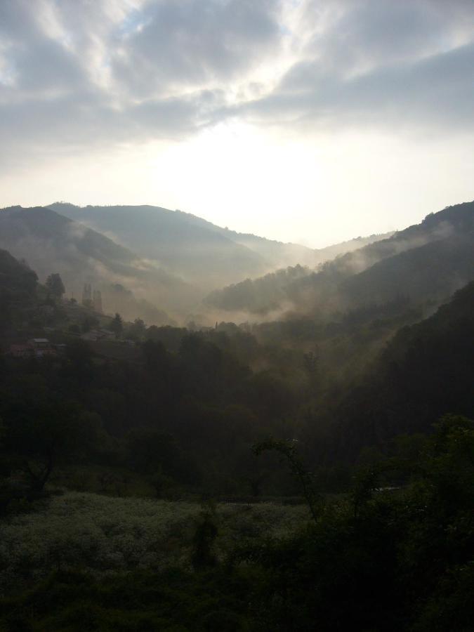 Gite "Lo Fedou D'Antraigues Sur Volane" Bed and Breakfast Buitenkant foto